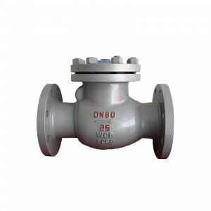 DN50 PN25 介質(zhì)：甲胺，溫度：80℃止回閥